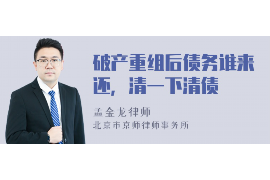 宣城为什么选择专业追讨公司来处理您的债务纠纷？